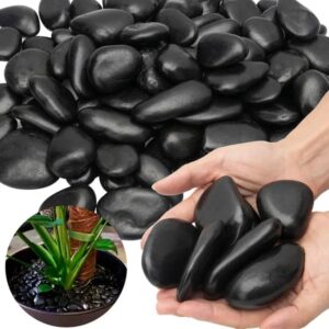 38lbs Black River Rocks, 2-3 Inch Polished Pebbles. Ideal For Plant Decoration, Vase Filling, Aquarium Landscaping, And Various Indoor And Outdoor Decorative Applications.