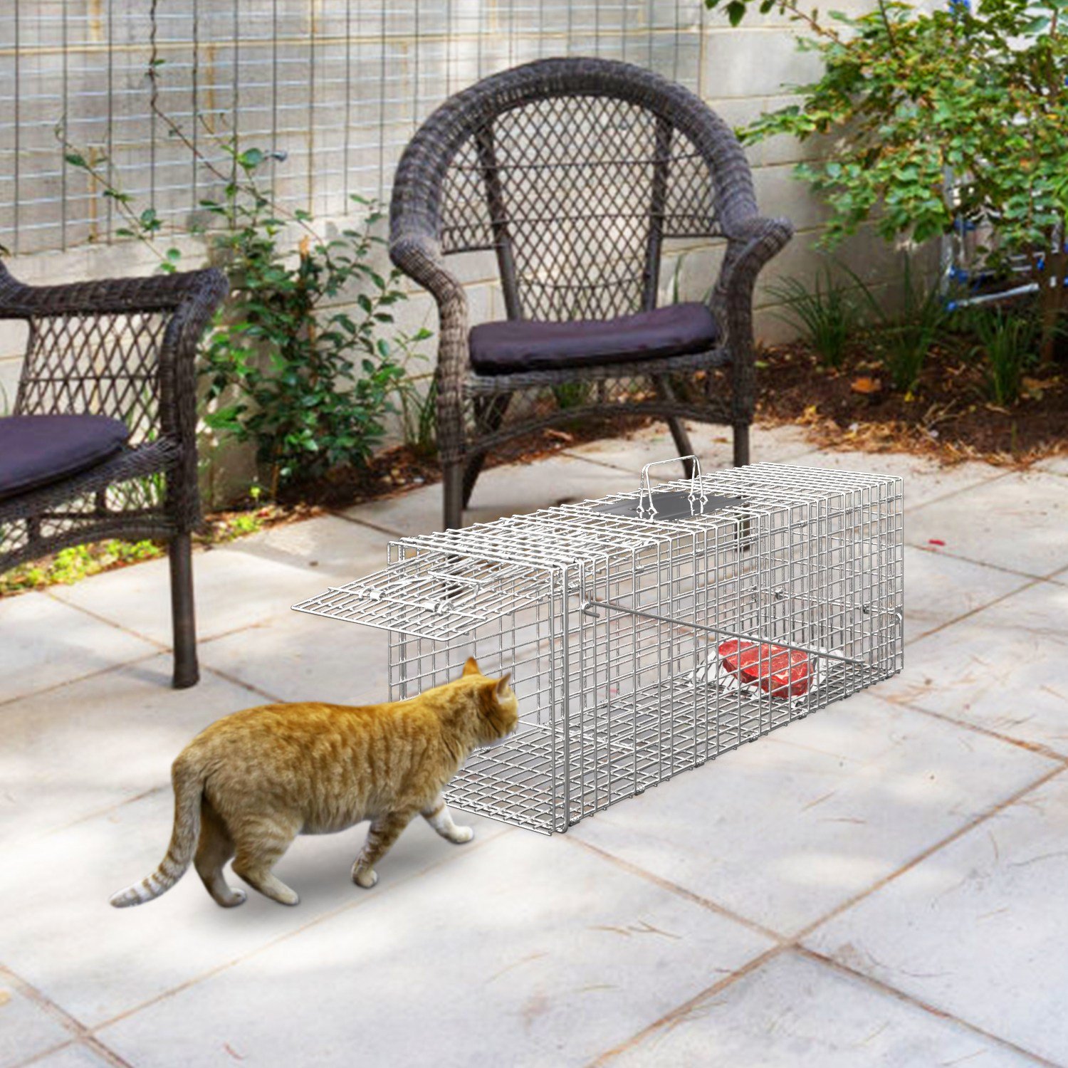 1Pc Humane Cat Trap Cage Catch Release Live Animal Rodent Cage Collapsible Galvanized Wire For Raccoons Beavers Groundhogs Foxes Armadillos Fedex Shipping - Image 8