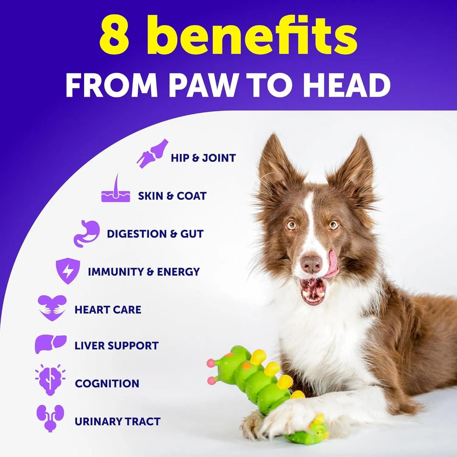 Dog Multivitamin Chewable With Glucosamine 20 In 1 Dog Vitamins And Supplements Senior & Puppy Multivitamin For Dogs Pet Joint Support Health Immunity Mobility Gut Skin 120 Chews - Image 7