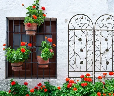 4 Pack Metal Garden Trellis 86.7" X 19.7" Rustproof Trellis For Climbing Plants Outdoor Flower Support Brown