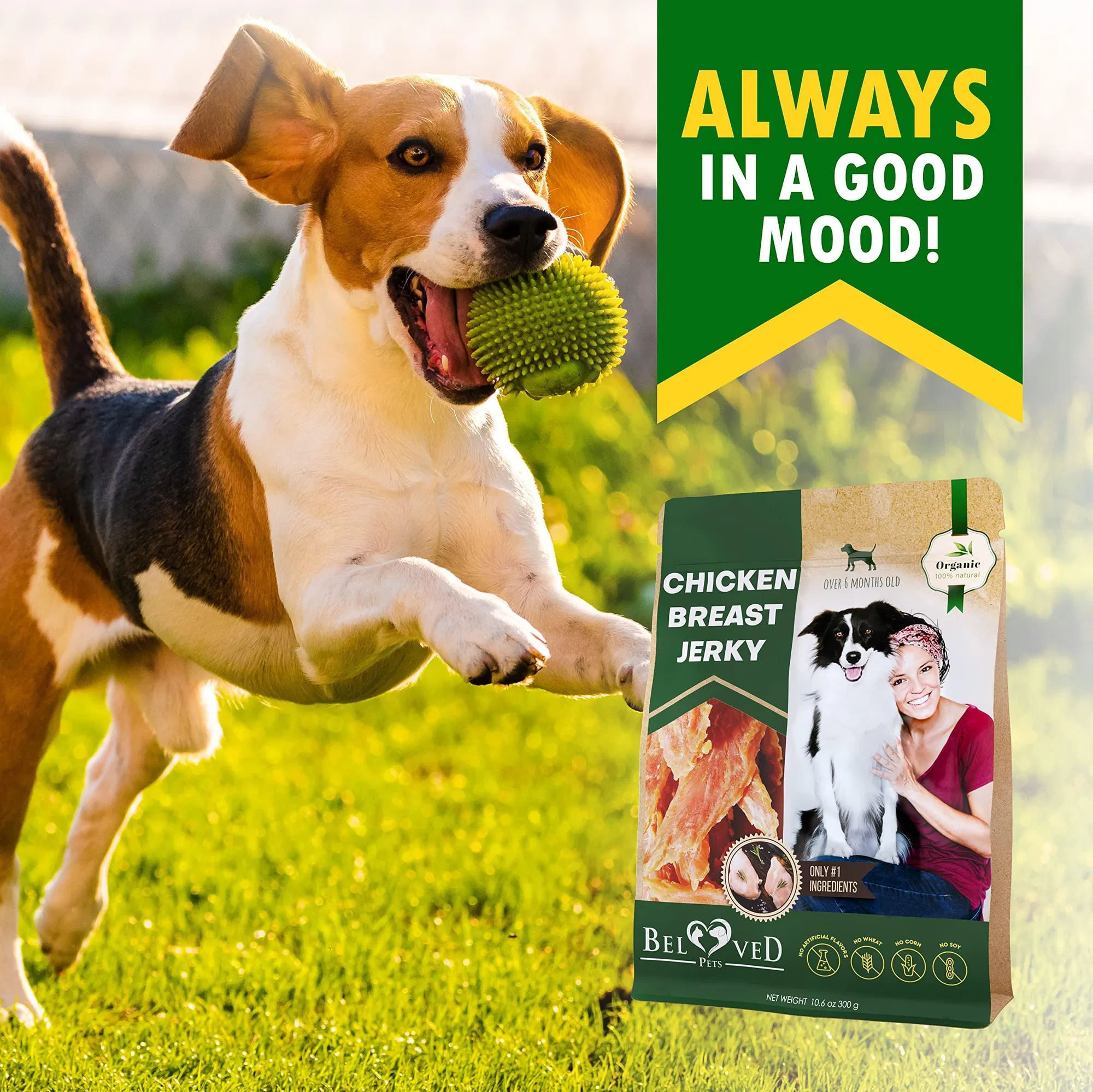Chicken Jerky Dog Treats All Natural And Organic Healthy Snacks For Large & Small Dogs Grain Free And High Protein Human Grade Pet Chews 300 Gram - Image 4