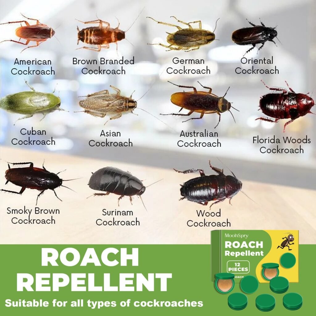 12Pcs In 1 Box, Roach Bait Gel Roach Traps Roach Repellent, Cockroach Killer Indoor Home For Small Large Cockroaches —