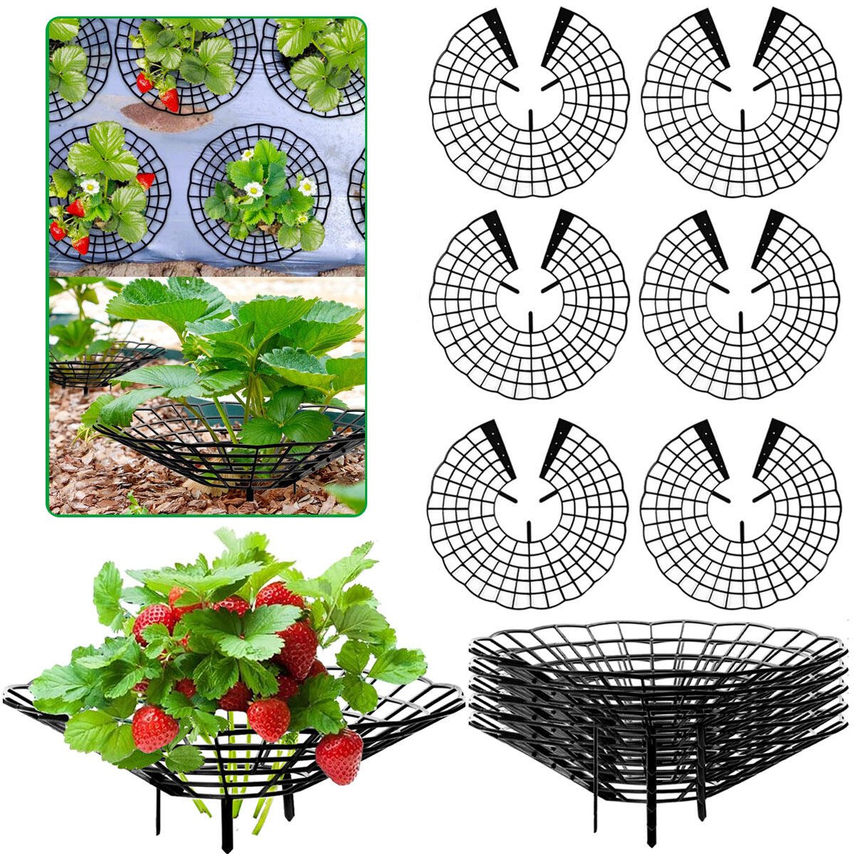 6Pcs Black Strawberry Planting Racks With 3 Fixed Support Legs For Garden Plant Care - Image 5