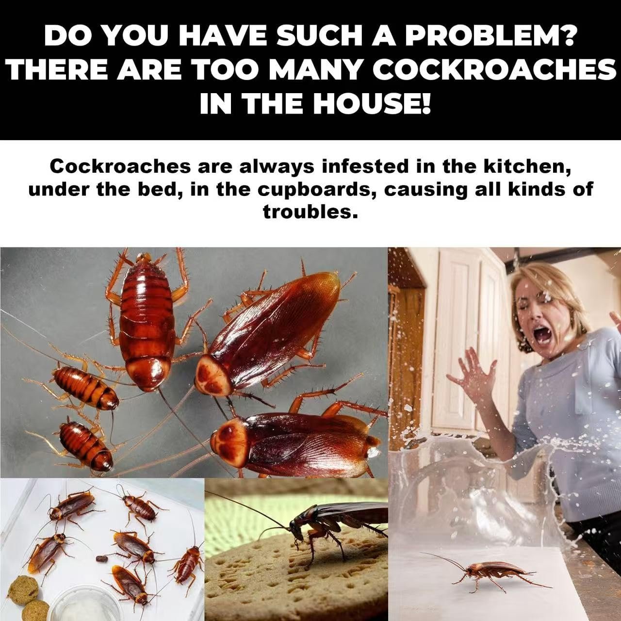8pcs In 1box, Roach Killer Indoor Infestation, Roach Bait Gel Roach Traps Roach Repellent, Cockroach Killer Indoor Home For Small Large Cockroaches - Image 5