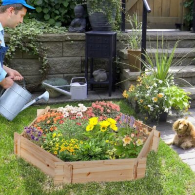 Screwless Raised Garden Bed, Hexagon Planter Box DIY Herb Garden