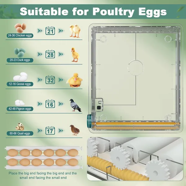 36 Eggs Incubators For Hatching Eggs,Egg Incubator With 4 Automatic Incubate Mode,Chicken Incubator With Automatic Egg Turning Humidity Monitoring,Poultry Egg Incubator With Egg Candle - Image 3