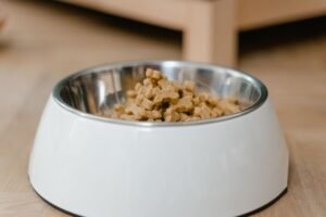 Pet Supplies
